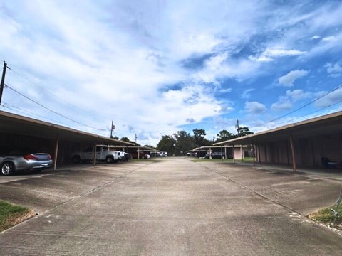 1523 Live Oak 2 Beds Apartment for Rent - Photo Gallery 11