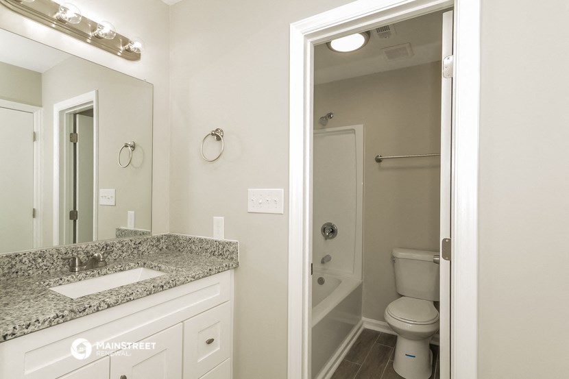 a bathroom with a sink and a toilet and a mirror
