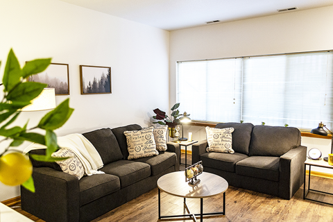 a living room with two couches and a coffee table