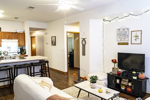 a living room with a couch and a television