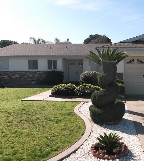 a yard with a palm tree in front of a house