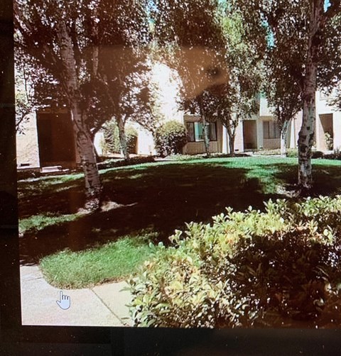 A tree-lined pathway leads to a building.