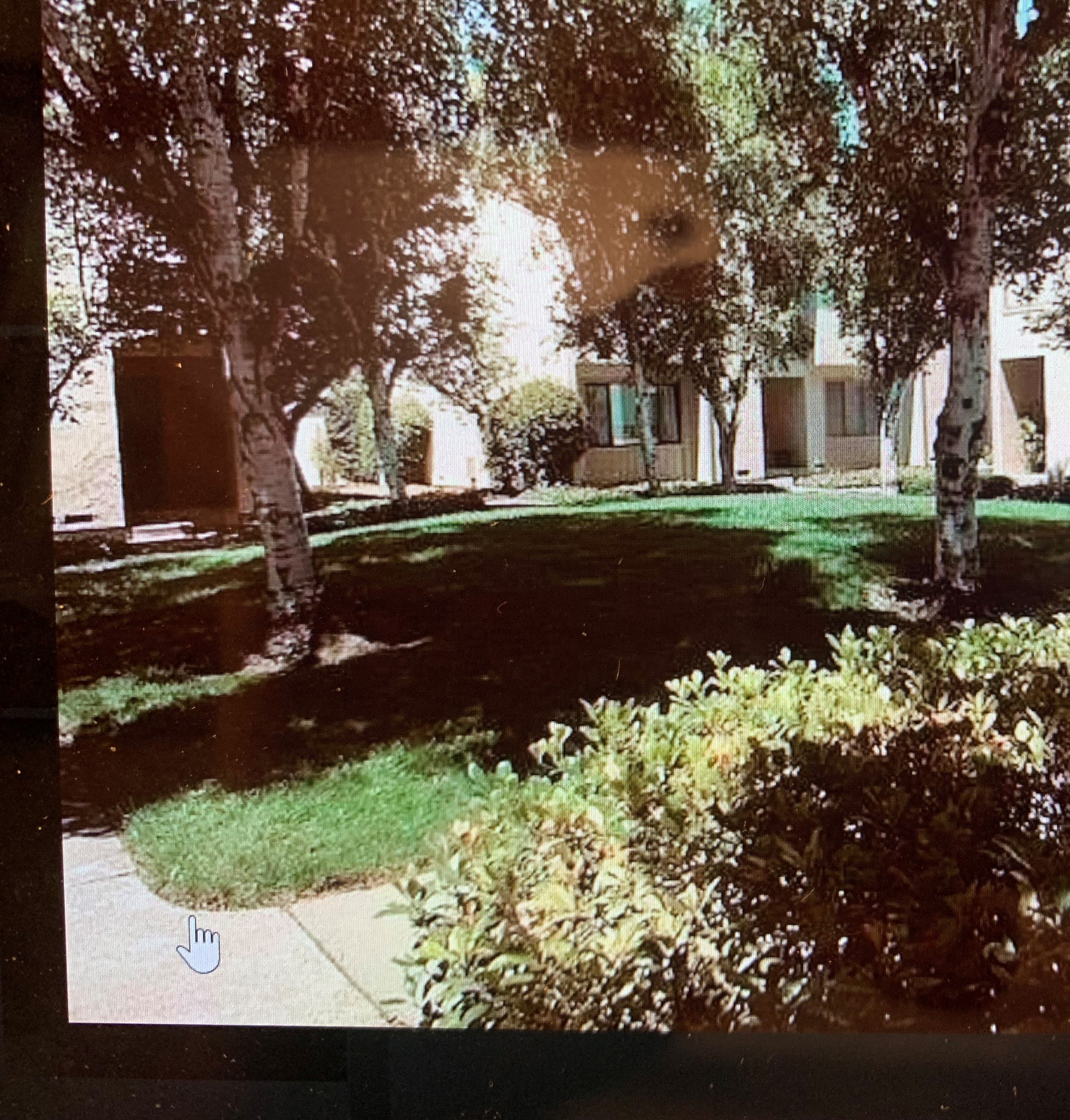 A tree-lined pathway leads to a building.