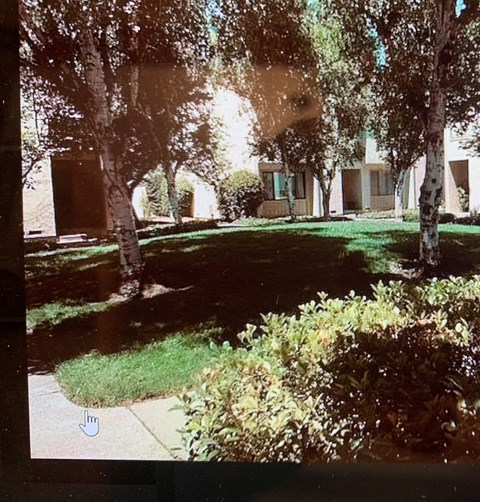 A tree-lined pathway leads to a building.