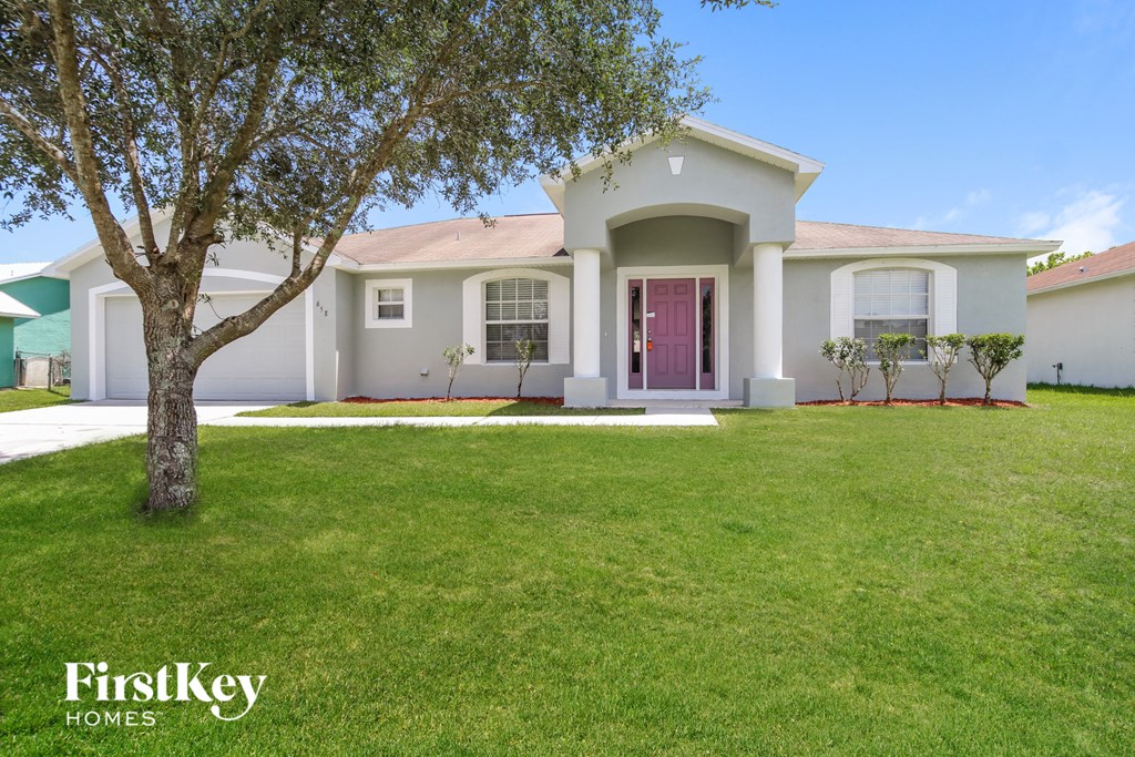 a house with a lawn and a tree