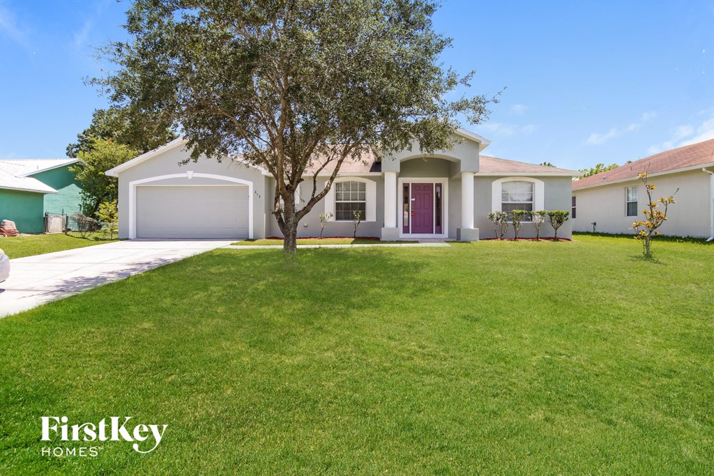 a house with a lawn and a tree in front of it