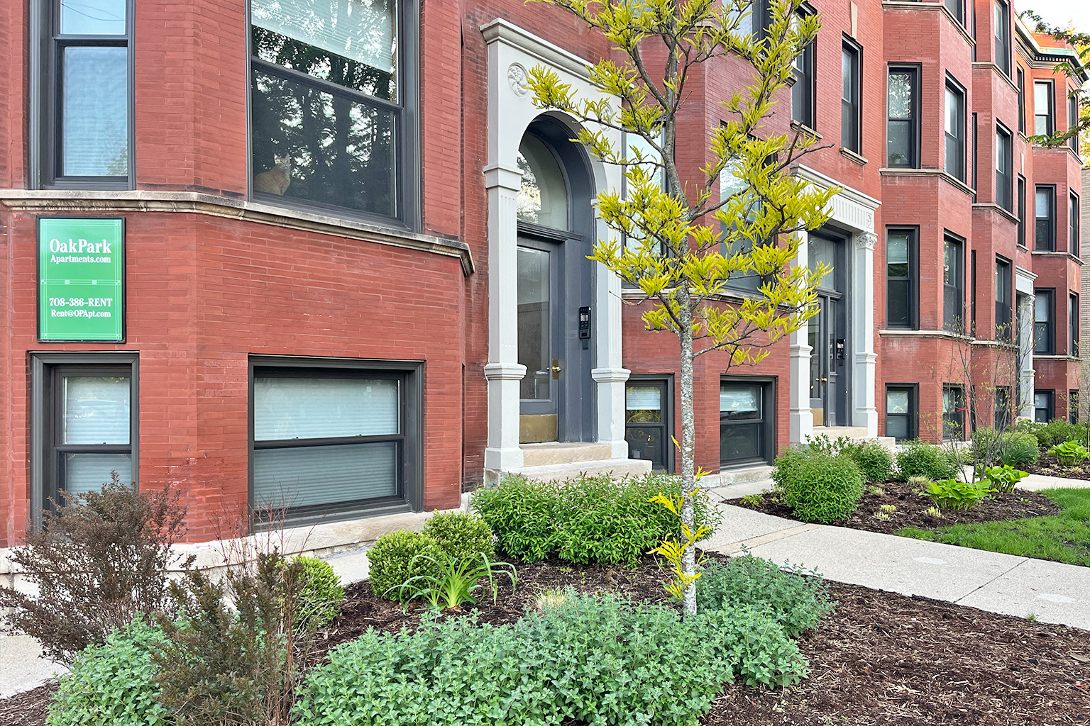 A tree with yellow leaves stands in front of a building with a sign that says Oak Park.