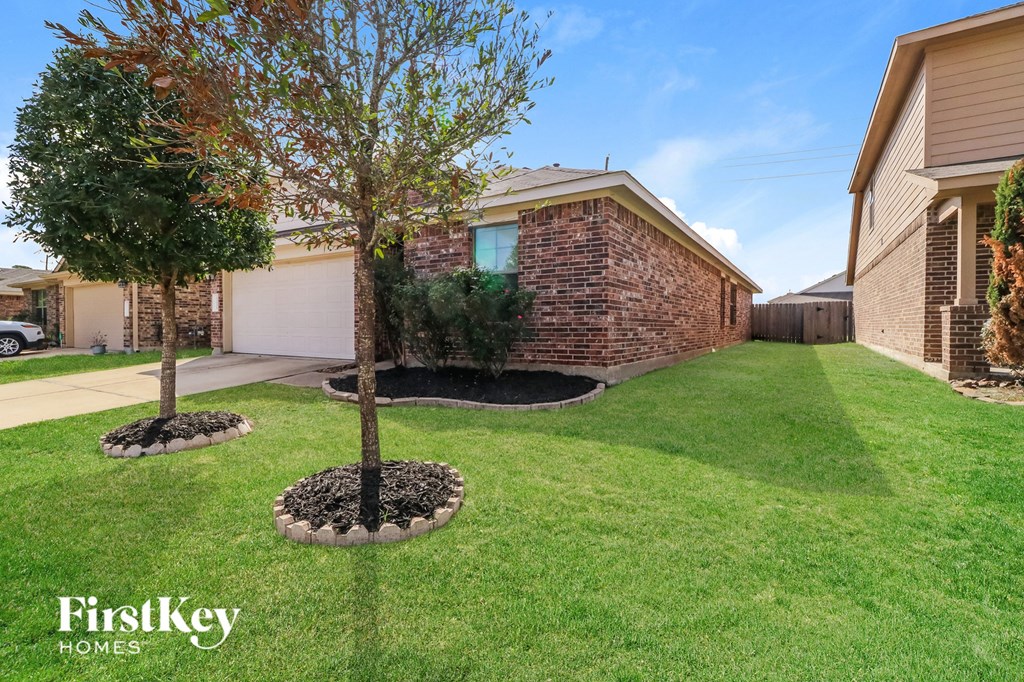 a small tree in a yard in front of a house