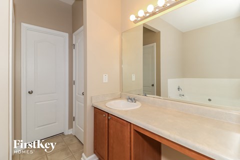 a bathroom with a sink and a large mirror