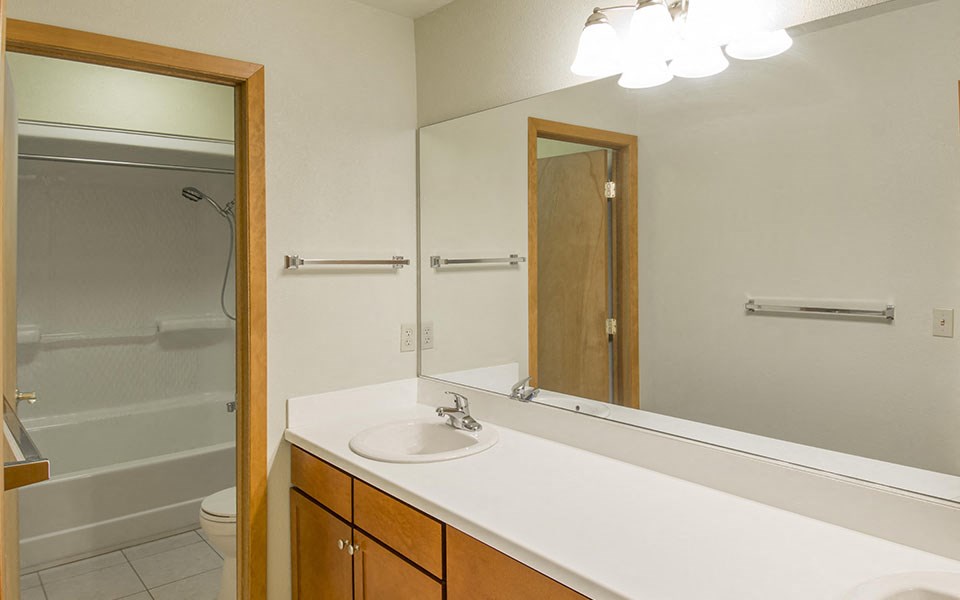 a bathroom with a sink and a mirror and a shower