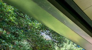 Garden & Walkway
