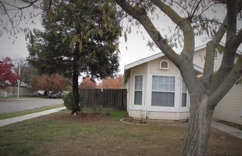 a small white house with a tree in front of it