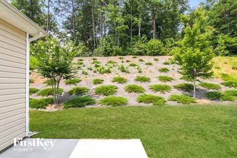 A backyard with a grassy area and a tree.