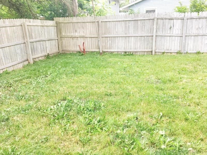A backyard with a wooden fence and a green lawn.