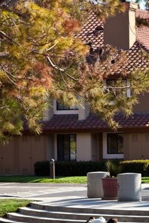 Capistrano Pointe Apartment Community Capistrano Pointe Apartment Community