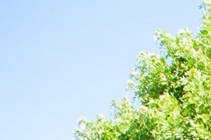 Day Care Centers In Huntington Beach Ca Day Care Centers In Huntington Beach Ca