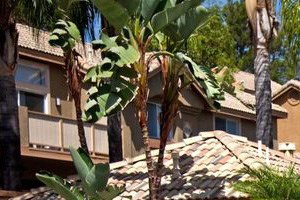 Bed And Bath In Fullerton Or Anaheim Please Bed And Bath In Fullerton Or Anaheim Please