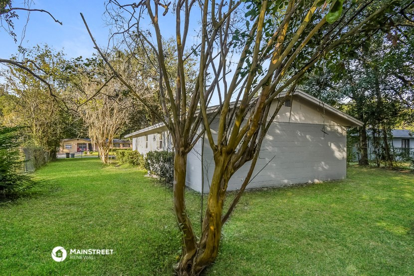 a backyard with a shed and a tree