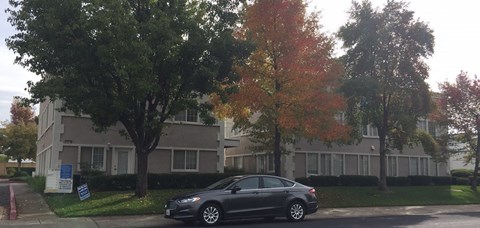 A grey car is parked in front of a grey building with trees in front of it.
