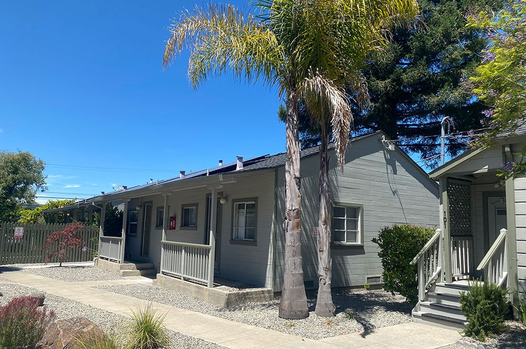 a white house with a palm tree in front of it