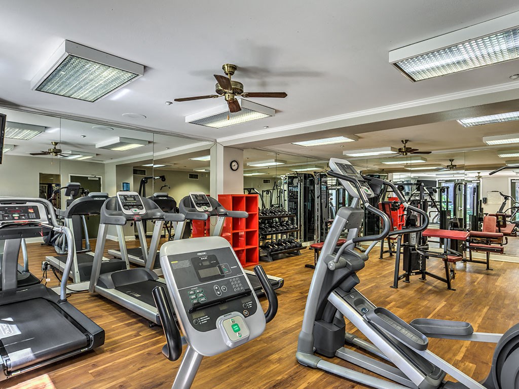 a gym with cardio machines and other exercise equipment