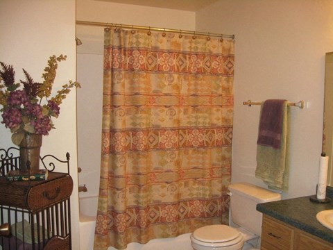 a bathroom with a shower curtain and a toilet