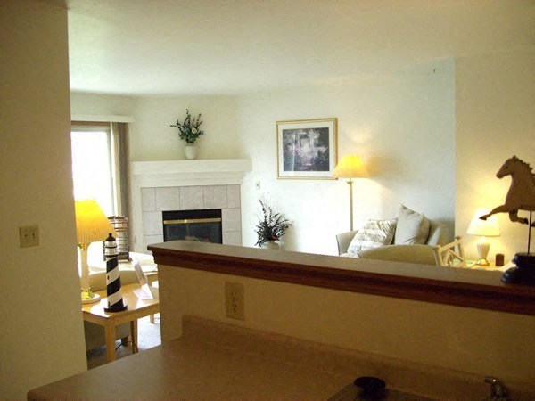 a living room with a couch and a fireplace