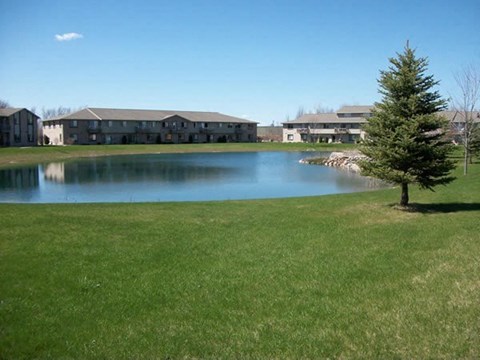 a tree in the grass next to a pond