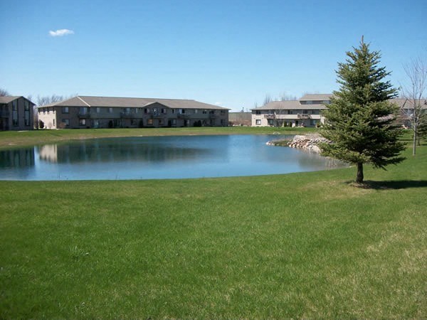 a tree in the grass next to a pond