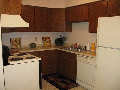 a kitchen with a stove refrigerator and a sink