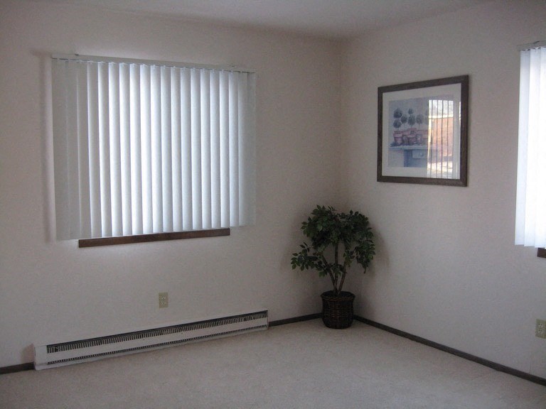 an empty living room with a window and a plant