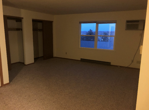 A room with carpeted floor and a window overlooking a snowy landscape.