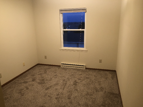 A room with a window and a carpet on the floor.