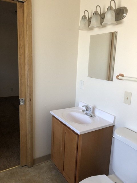 a bathroom with a sink and a mirror and a toilet