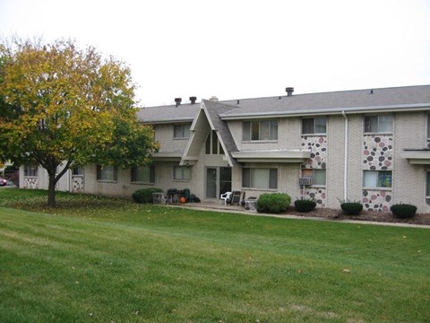 A tree with yellow leaves is in front of a grey building.
