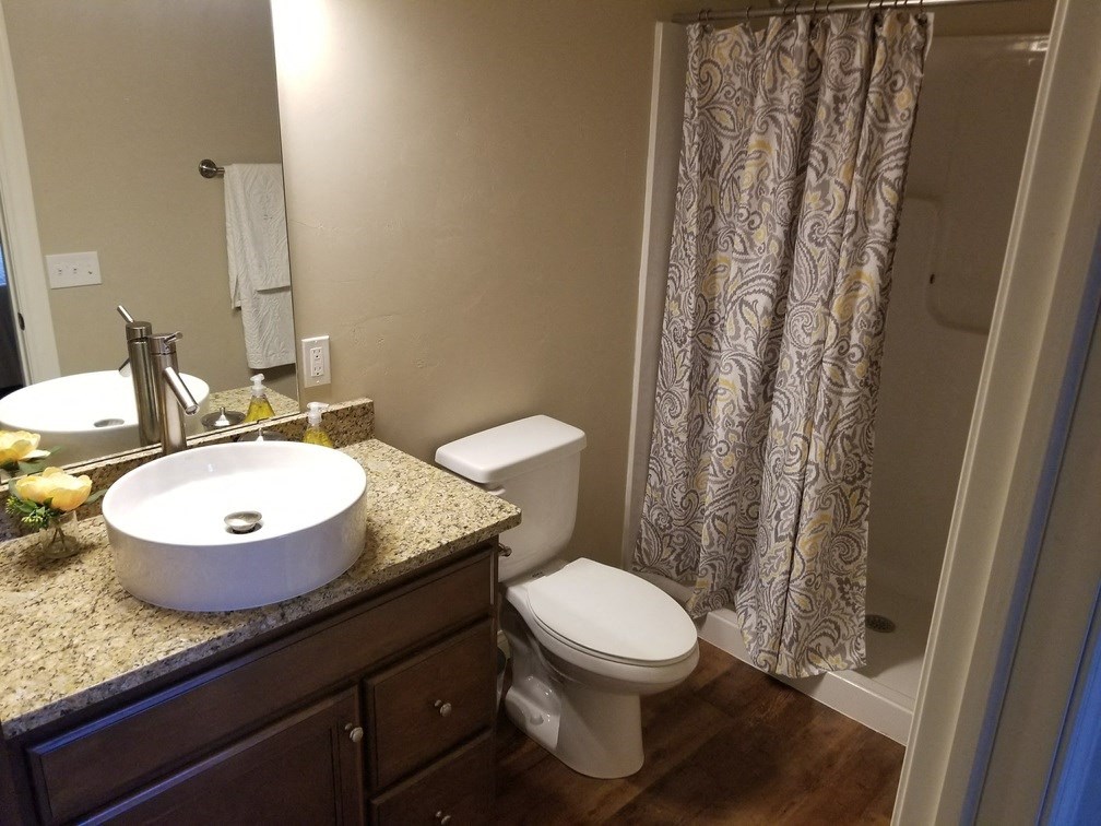 a bathroom with a sink and a toilet and a shower