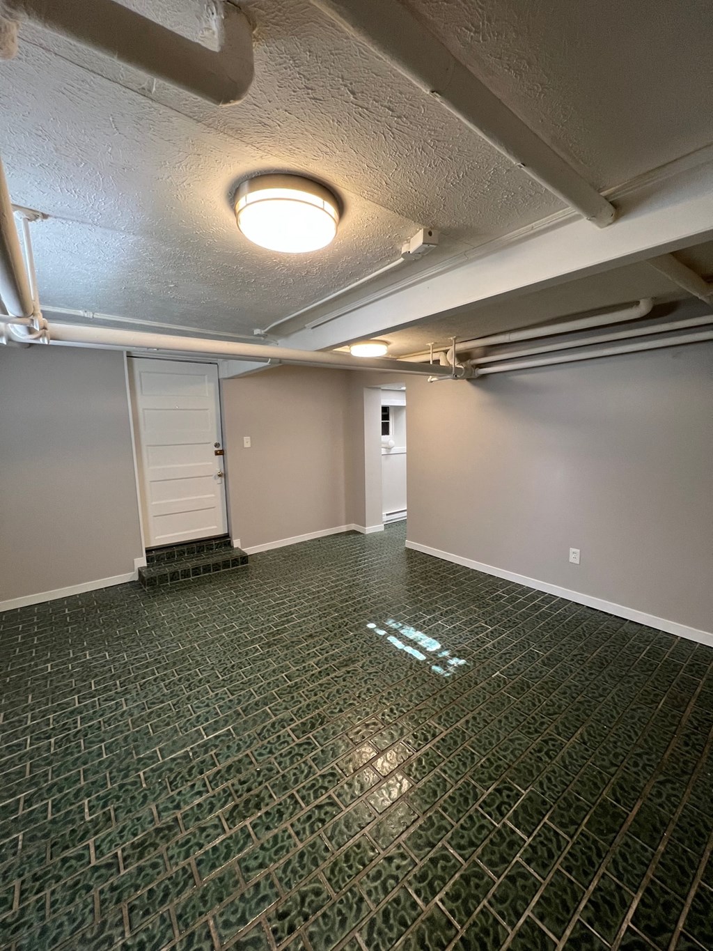 a empty basement with a ceiling light and a door
