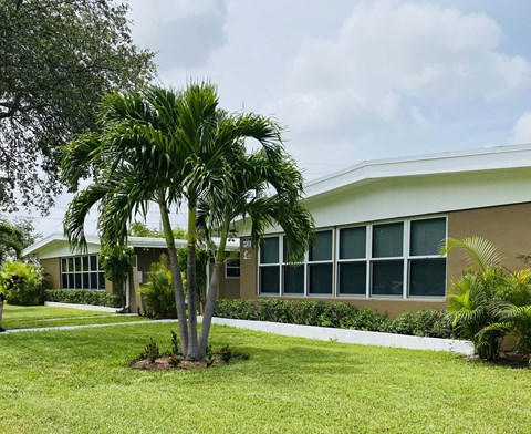 a palm tree in front of a building