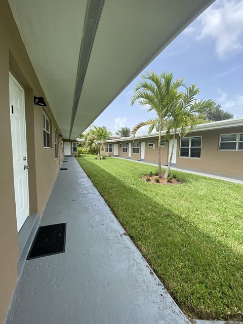 a view of the outside of a building with grass and palm trees