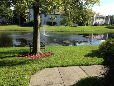 a park bench sitting under a tree next to a pond