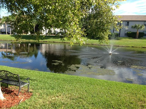 a fountain in a pond in a yard with a bench
