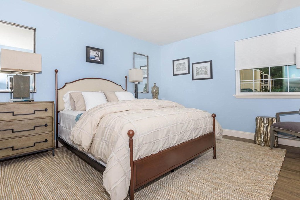 a bedroom with a bed and a window