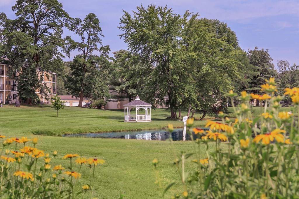 a park with a pond and a gazebo
