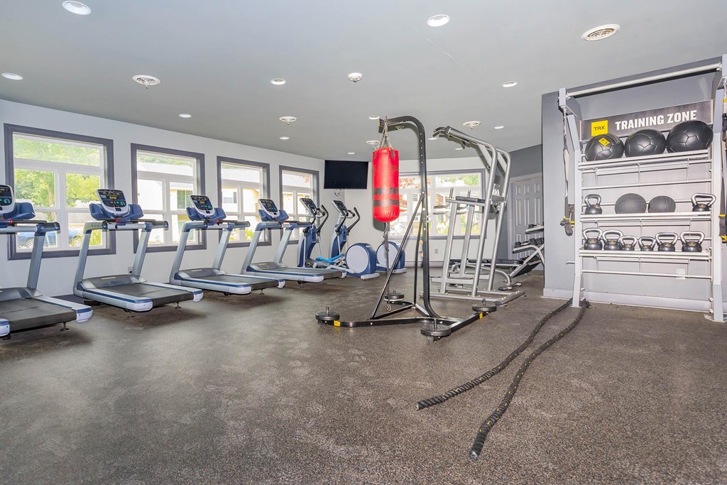 the gym is equipped with cardio equipment and weights