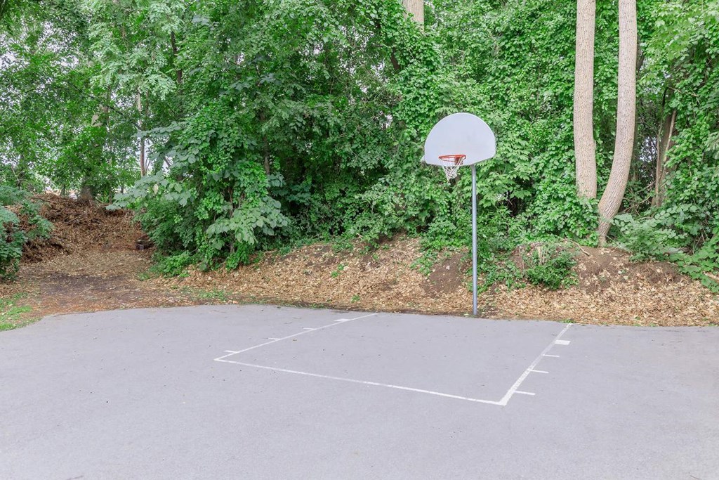 the basketball court is in front of the trees
