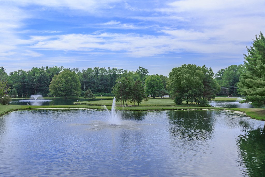 a fountain in the middle of a pond in a park