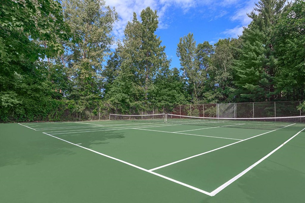 a tennis court with trees in the background on a sunny day