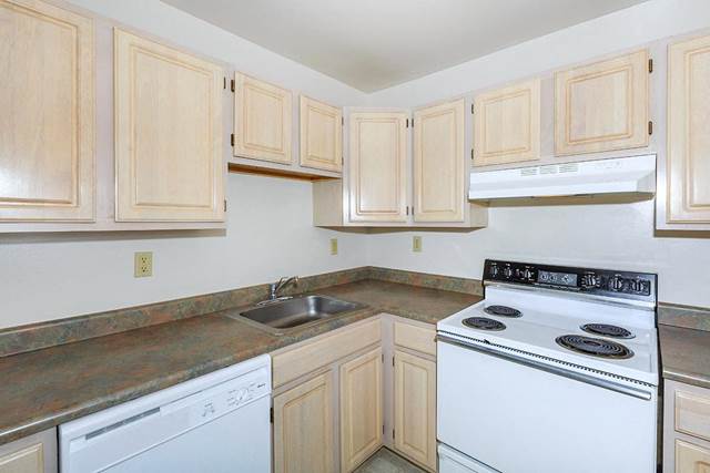 1-bedroom apartment at London Square/Blue Spruce Apartments in Clifton Park, NY
