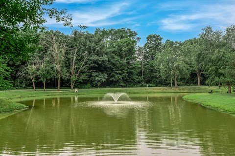 A fountain in the middle of a pond surrounded by trees.