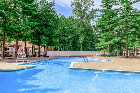 A swimming pool surrounded by trees and a deck.